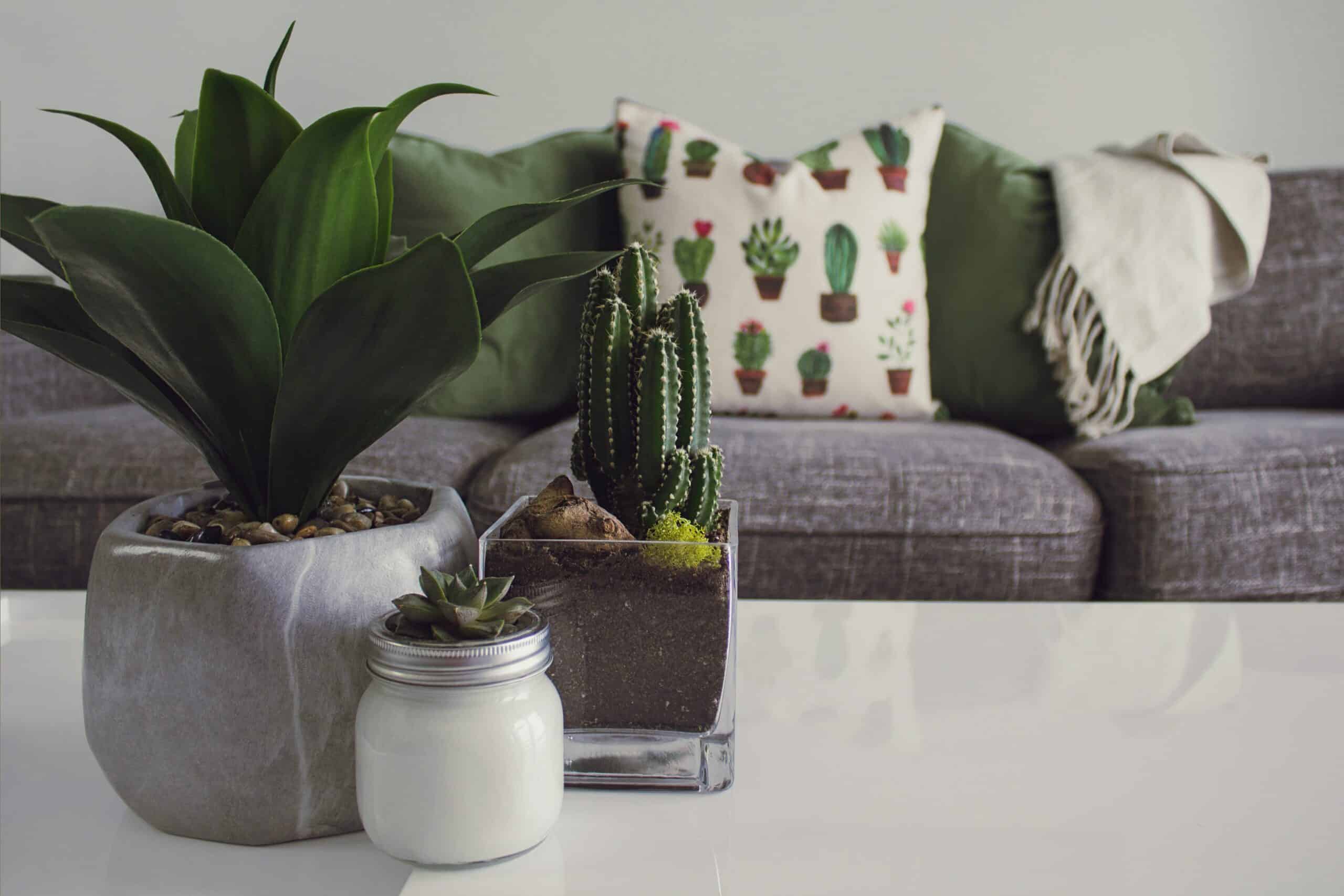 Spar penge med indretningstips til dit hjem